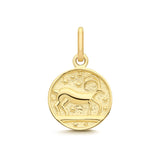 9ct Yellow Gold Capricorn Zodiac Coin Pendant