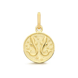 9ct Yellow Gold Pisces Zodiac Coin Pendant